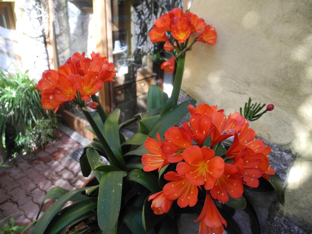 La Chicca Di Francesca Panzió Santa Teresa Gallura Kültér fotó